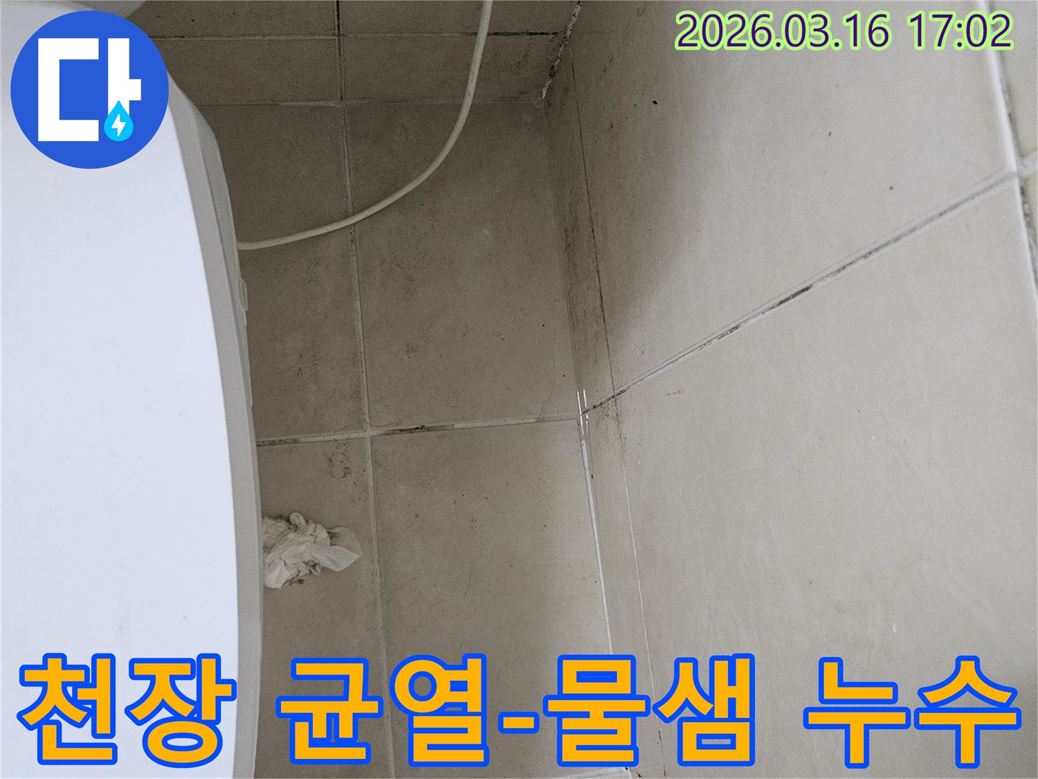 화장실 천장 타일의 균열과 함께 검은 곰팡이가 발생하고-물이 새어 나온 흔적이 보이는 누수 현장 사진입니다