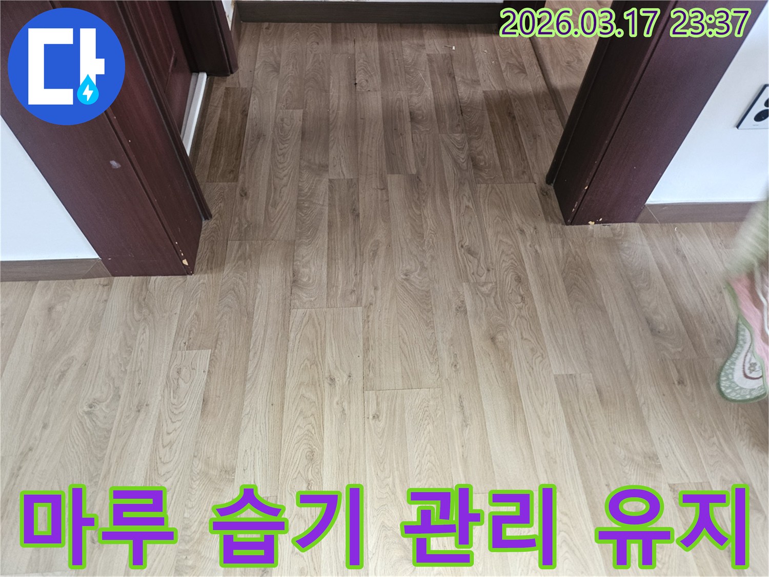 누수 발생 후-바닥 마루의 습기를 관리하고-장기적인 유지보수를 위한-점검 과정을 보여주는 사진입니다.