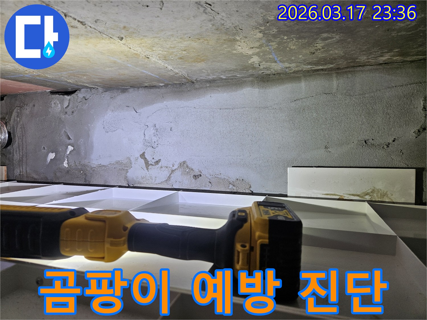 누수 전문 엔지니어가-천장 누수로 인한-곰팡이 발생을 예방하고-쾌적한 환경을 만들기 위해-정밀 진단을 진행하고 있습니다.