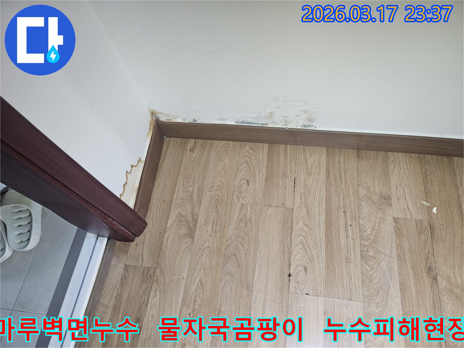 누수로 인해 마루바닥과-벽면에-물자국과-곰팡이가-발생한-현장-사진입니다