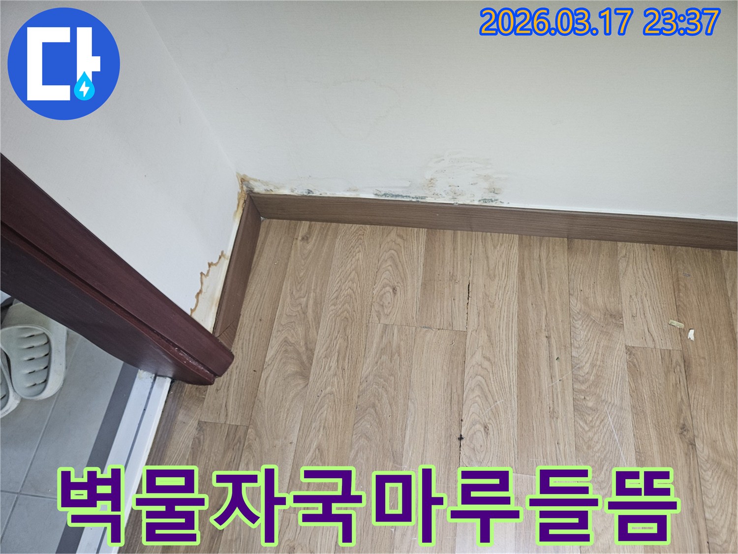 누수로 인해-벽면에-물자국이 생기고-마루가 들뜬-현장의-정밀-탐지-사진입니다