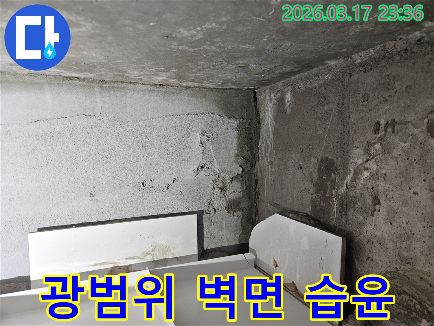 누수로 인해 콘크리트 벽면 전체에 습기가 퍼져-정밀 탐지를 통한 원인 파악이 시급합니다.