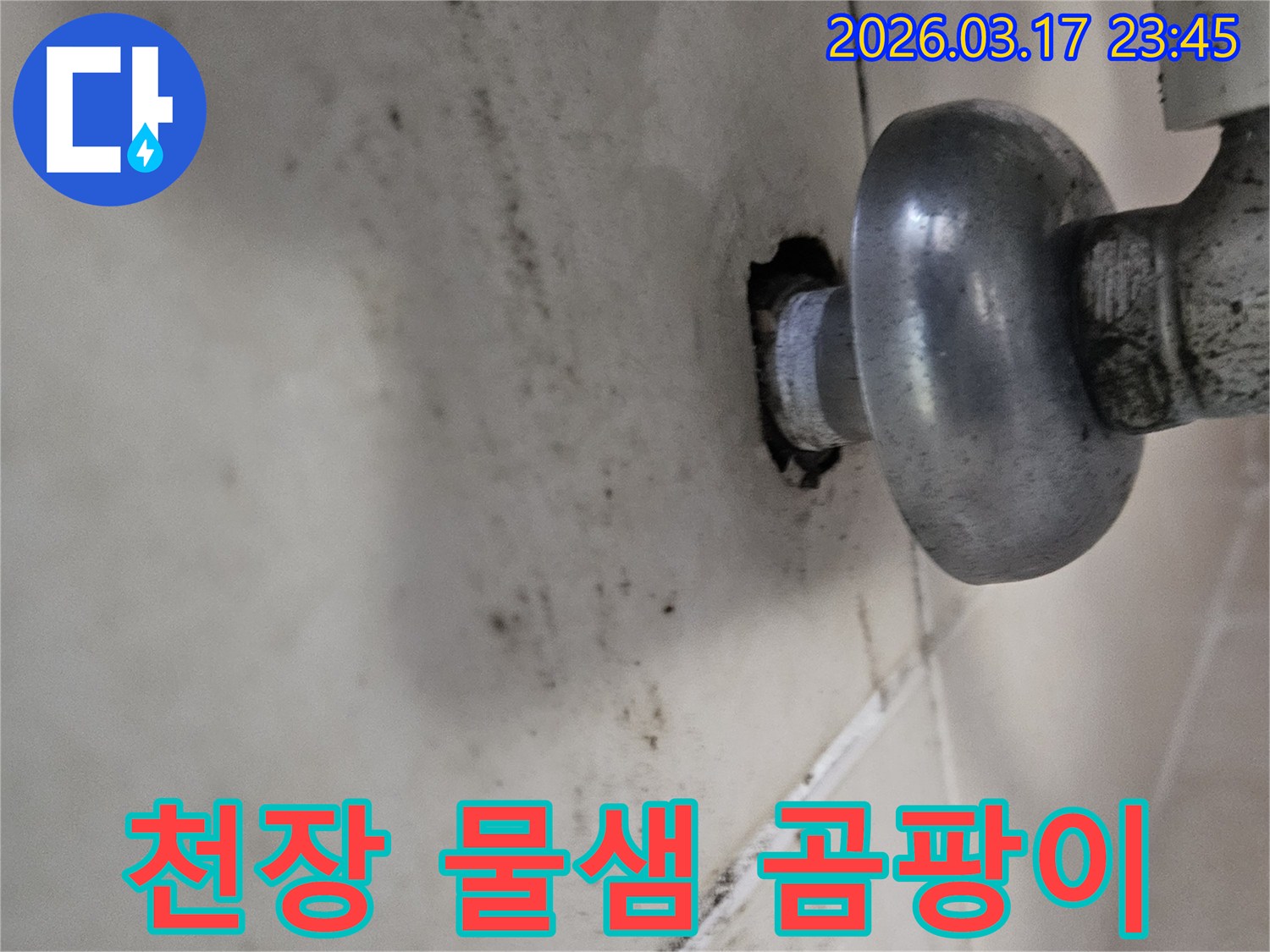 배관 연결 부위에서 시작된 누수-천장으로 번진 곰팡이 흔적입니다