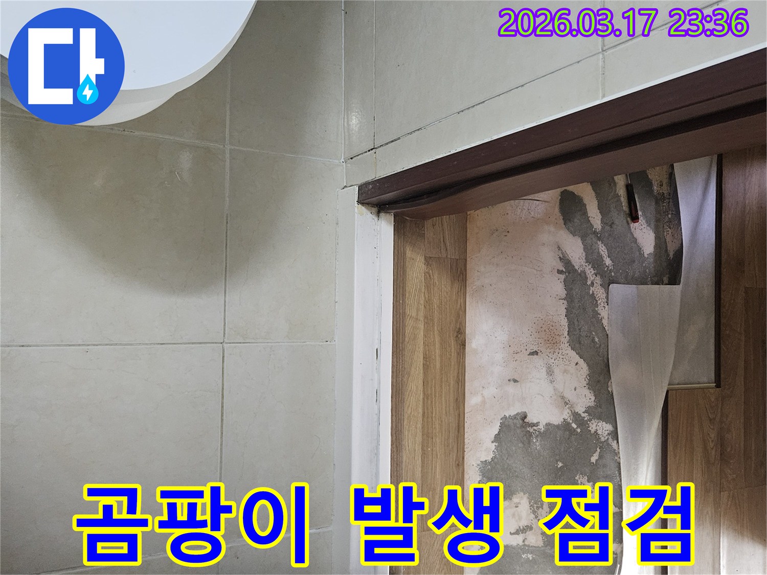 빌라 바닥의-장판을 걷어낸 후-아래 콘크리트의-습기와 곰팡이-발생 가능성을-점검하는 사진