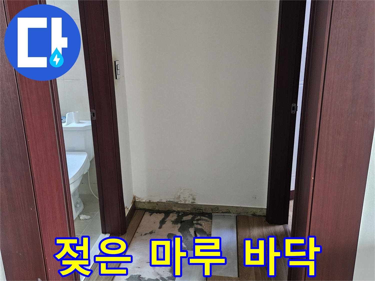 습기가 올라와 변색된 거실 마루 경계선