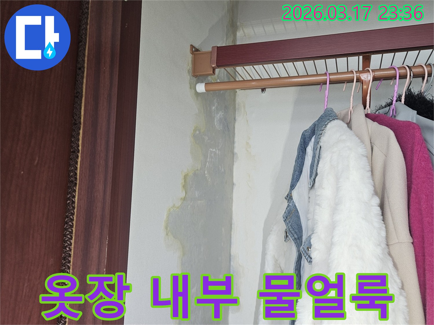 옷장 내부 벽과 바닥에-물이 스며들어-얼룩지고 젖은-누수 현장입니다.