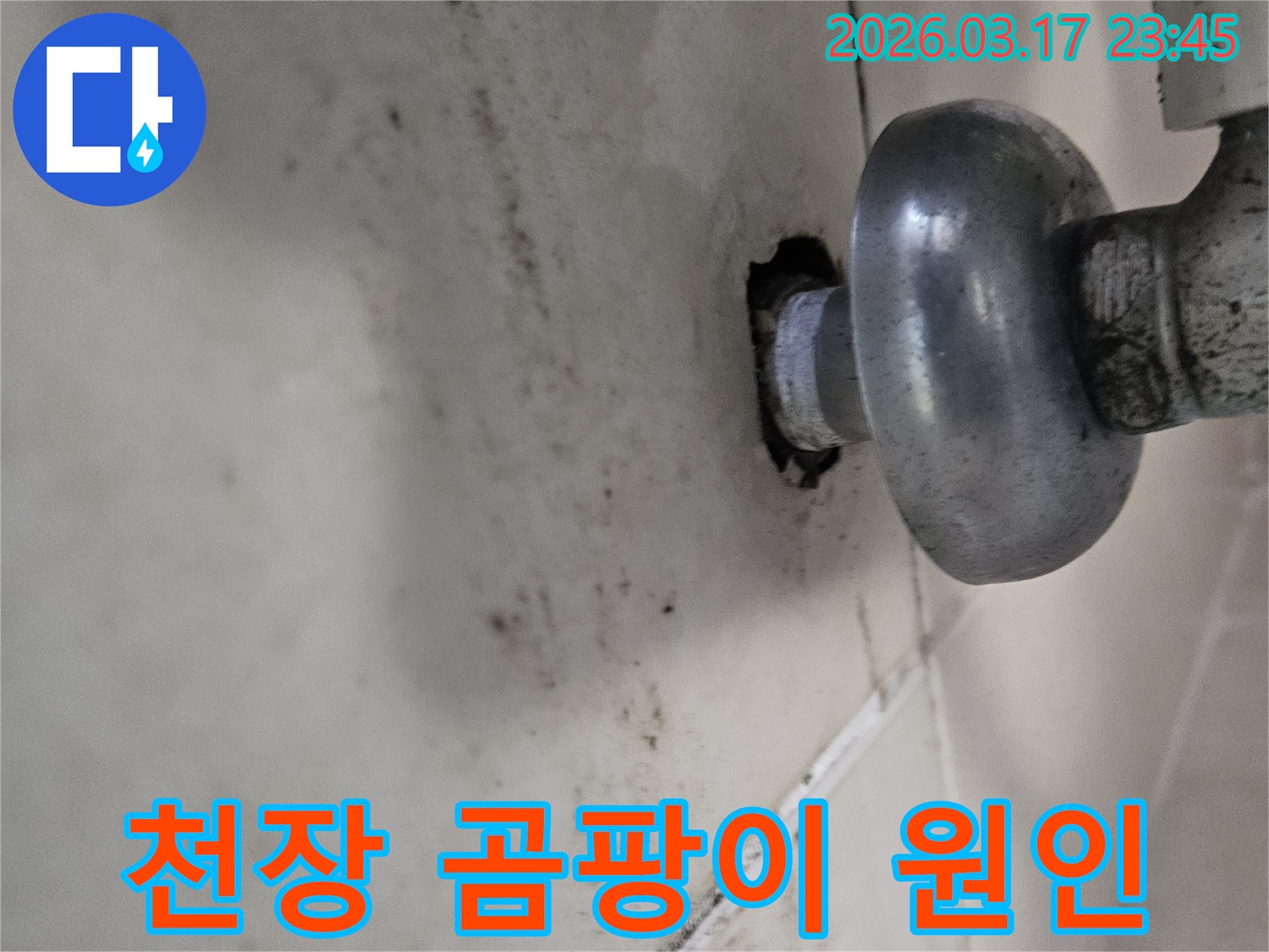 이 사진은 천장 배관 주변의 누수로 인해-곰팡이와 물때가 심하게 생긴 모습을 보여줍니다