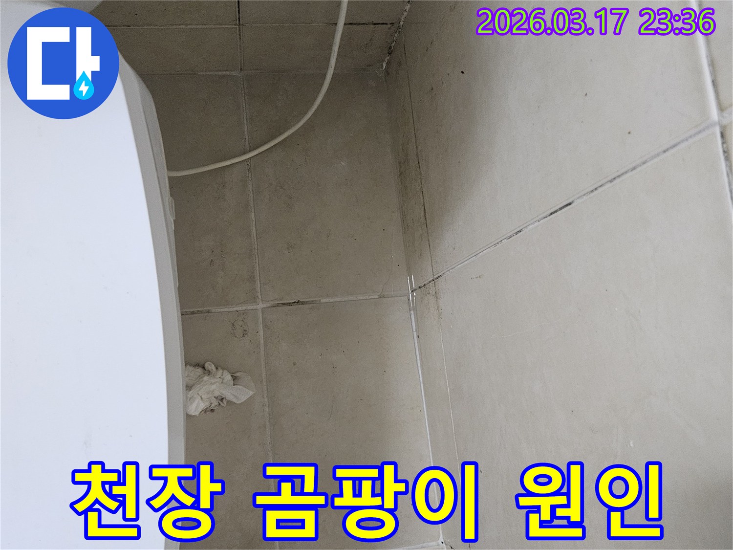 이 이미지는-천장-타일과-벽면-모서리에-발생한-검은-곰팡이를-보여주며-이는-누수로-인한-지속적인-습기-침투가-원인임을-시사합니다