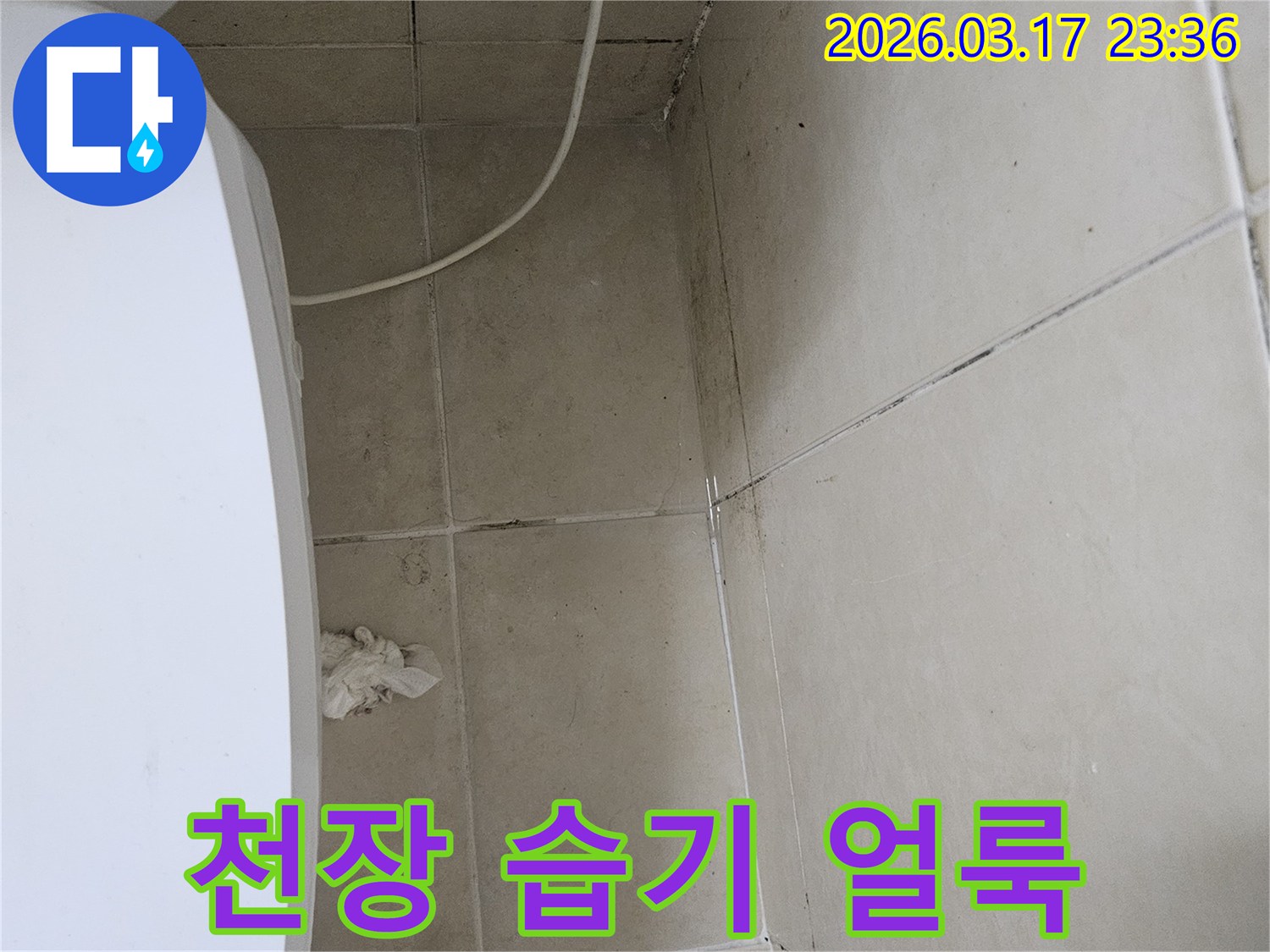 이 이미지는-천장-타일과-벽면-모서리에-발생한-습기-얼룩과-곰팡이를-보여주며-이는-누수로-인한-지속적인-습기-침투가-원인임을-시사합니다