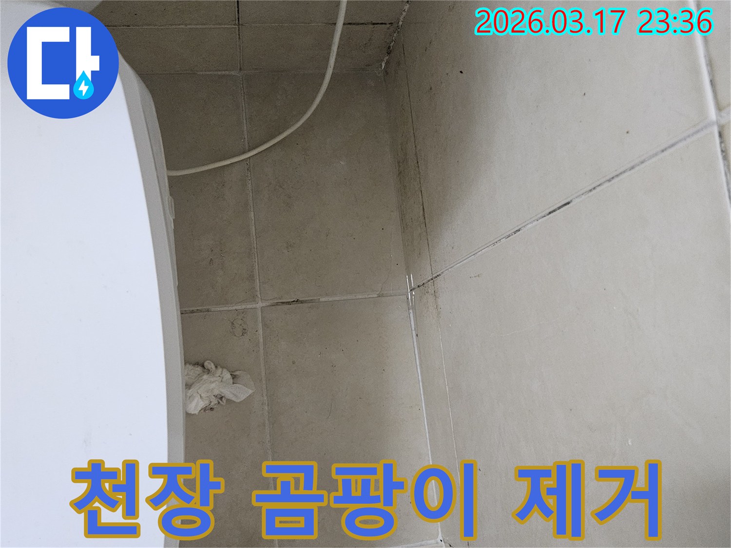 이 이미지는-천장-타일과-벽면-모서리에-발생한-심각한-곰팡이를-보여주며-이는-누수로-인한-지속적인-습기-침투가-원인임을-시사합니다
