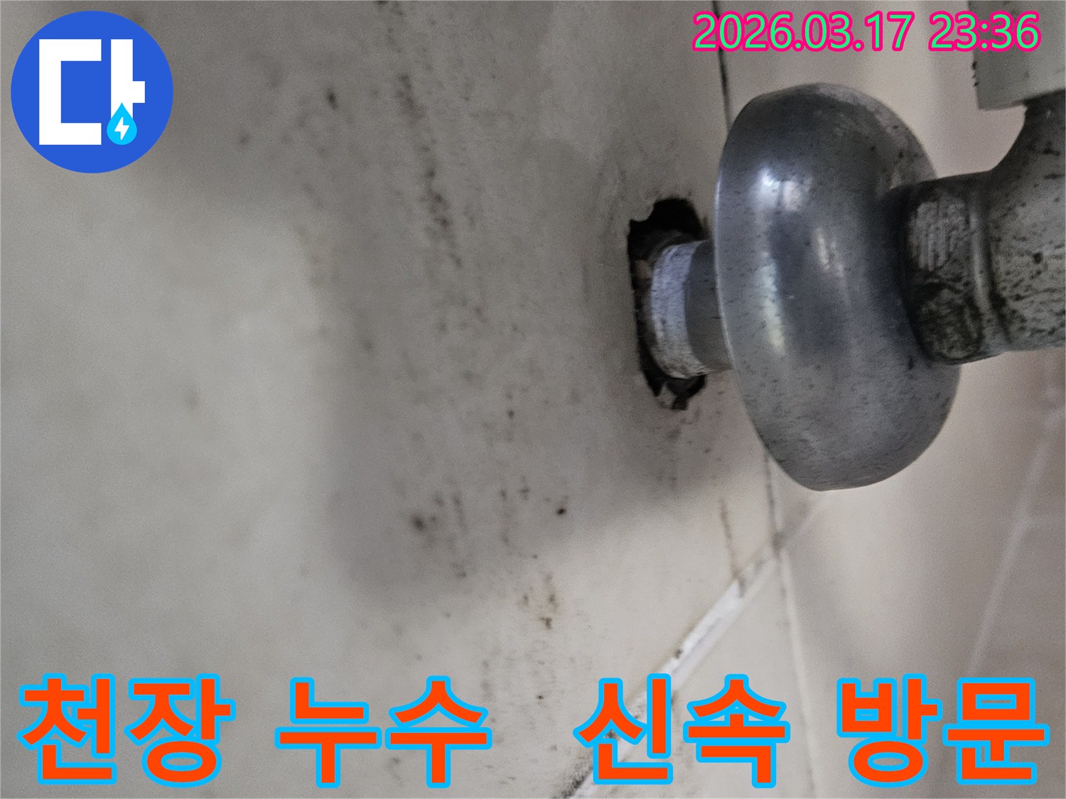천장-배관에서-발생한-누수로-인해-오염된-벽면과-신속한-조치가-필요한-현장