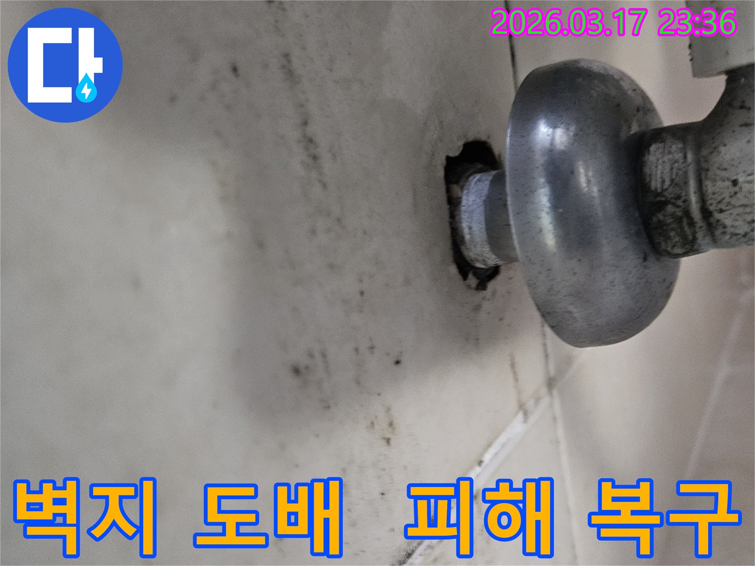 천장-배관에서-발생한-누수로-인해-젖고-오염된-벽면과-손상된-벽지를-완벽하게-복구해야-하는-모습