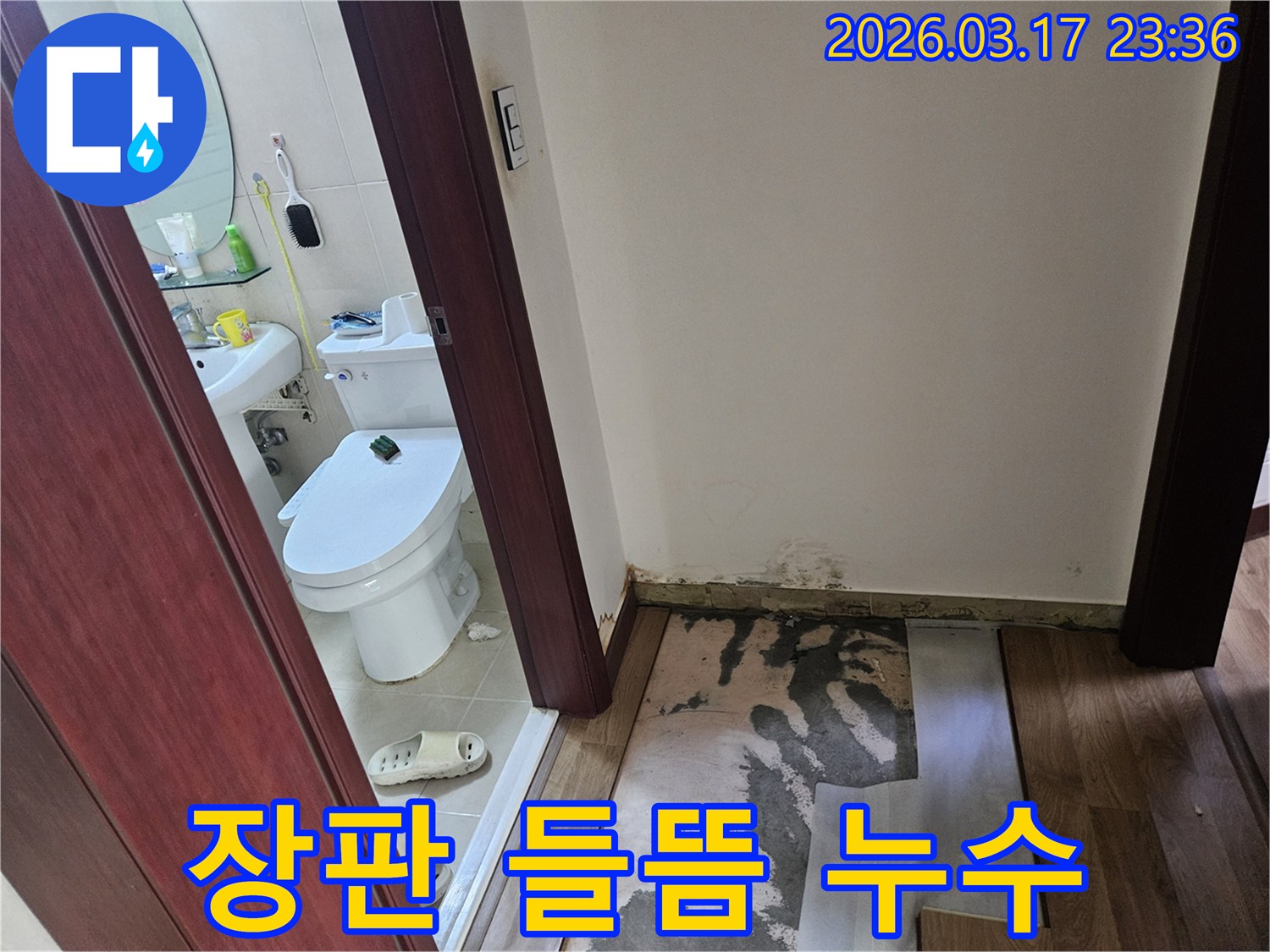 화성 병점 지역-아파트 화장실 입구의-누수로 인해-장판이 들뜨고-바닥재가 손상된-현장 사진입니다