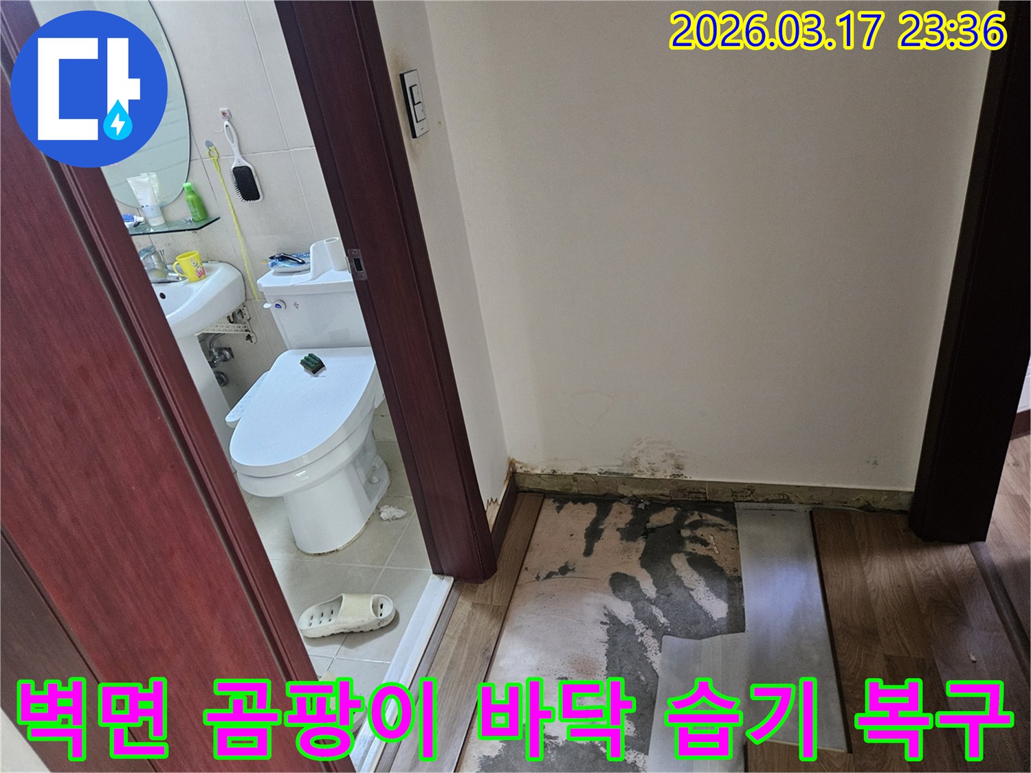 화성 병점 지역-주택 화장실 입구의-누수로 인해-바닥재가 제거되고-벽면에 곰팡이가 발생한-현장 모습입니다