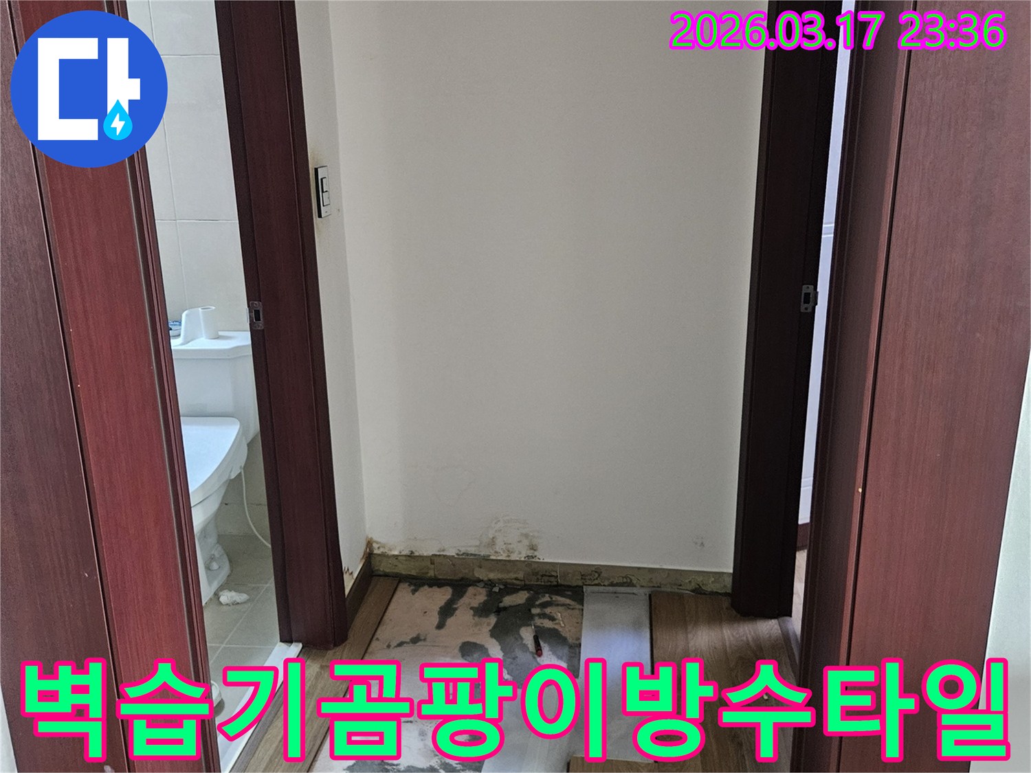 화성시 누수 현장에서-욕실 벽면 습기와 곰팡이를 제거하고-방수층을 전면 재시공한 후 타일 시공을 위해-벽을 개방한 모습입니다.