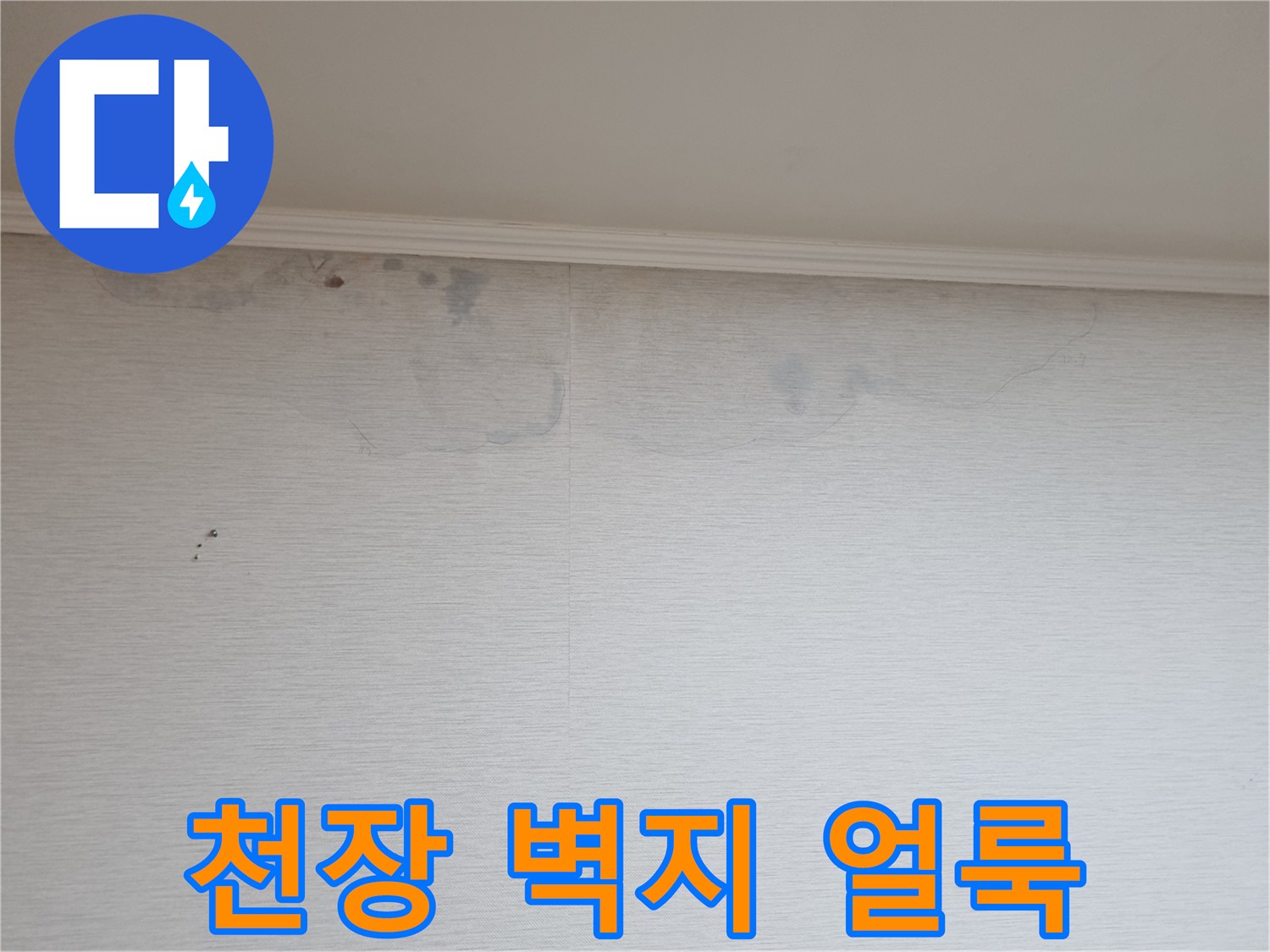 분당 아파트 거실-천장 벽지 변색 부위