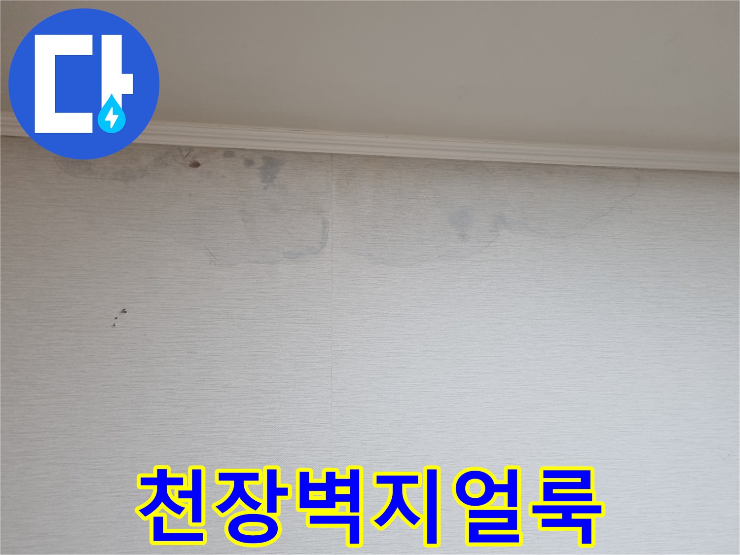 아파트-거실-천장-벽지-누수-흔적-사진