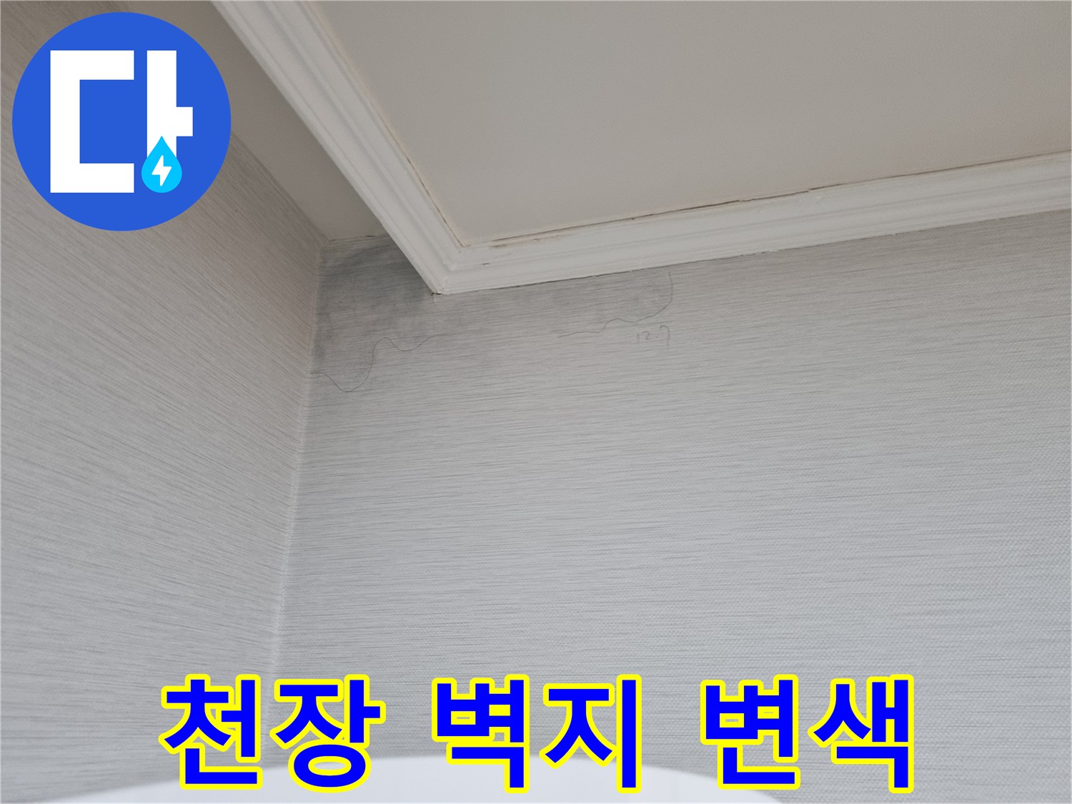 아파트-천장-구석-벽지-변색-상태