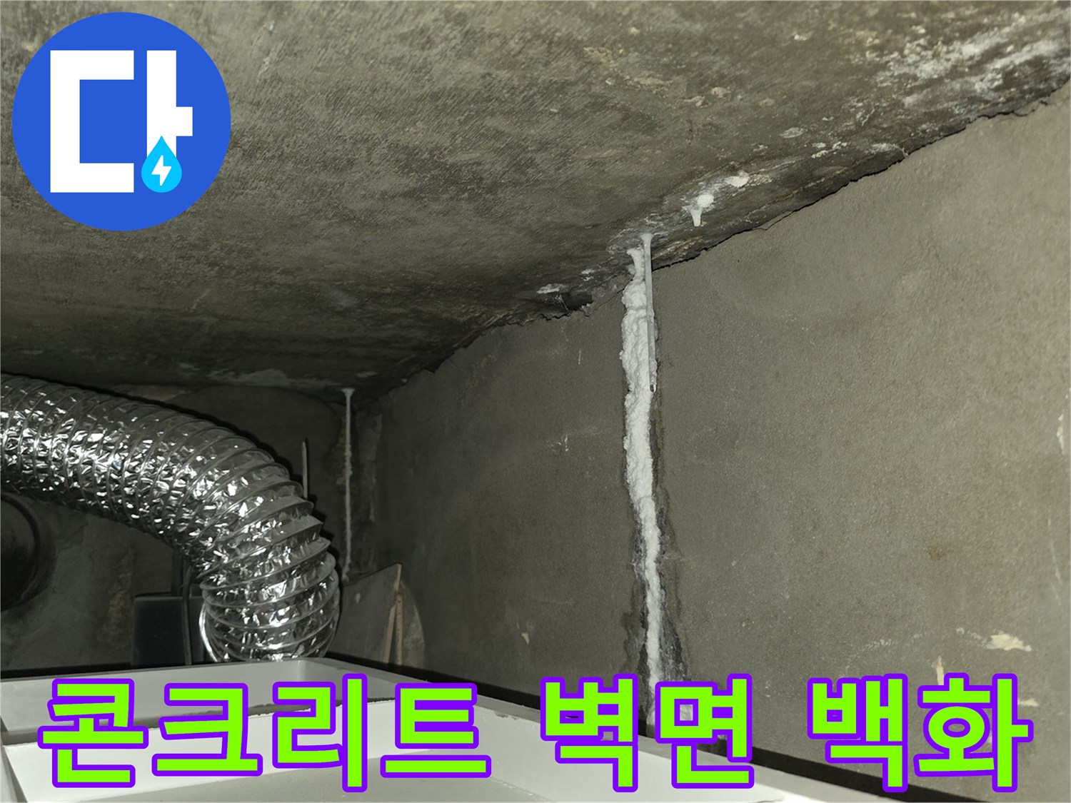 습기로 인해 하얗게 변한 콘크리트 구조물 부위