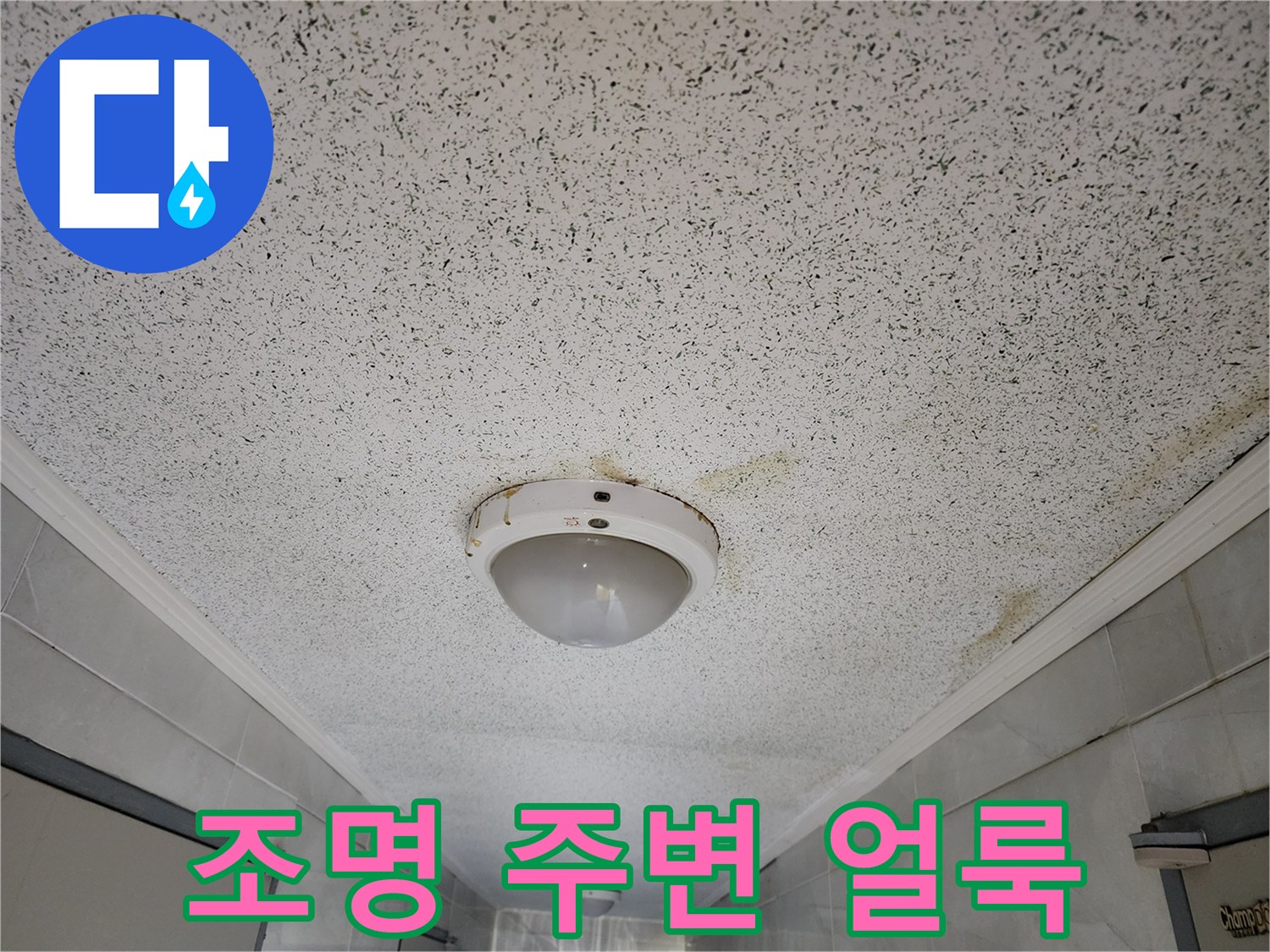 복도 천장 조명 기구 주변의 누수 변색 부위