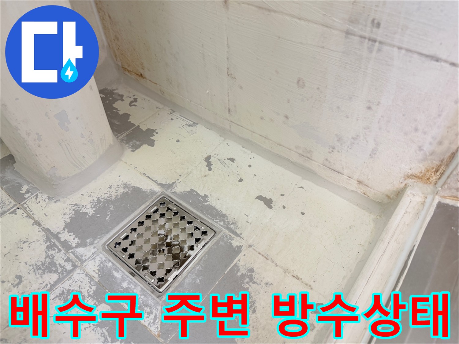 화장실-배수구-주변-타일-틈새-오염-확인