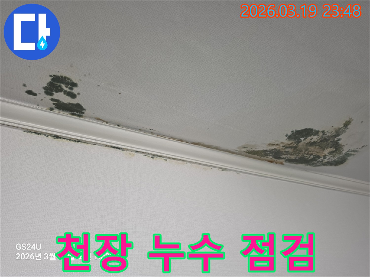 천장-누수-피해-곰팡이와-물자국-발생-모습-꼼꼼한-점검으로-안심할-수-있습니다