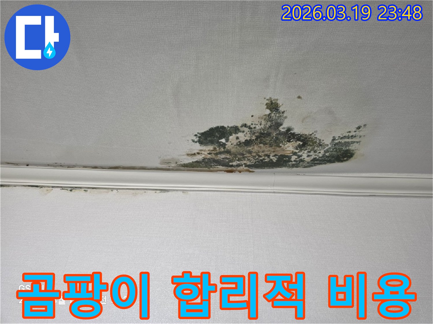 천장-벽지에-발생한-심각한-누수-곰팡이-오염-현장으로-합리적인-비용으로-해결이-필요한-상태