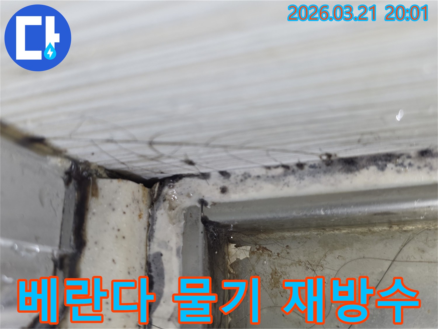 베란다 모서리에 스며든 물기로-인해 발생한 오염과-곰팡이를 보여주며-재방수 작업이 필요함
