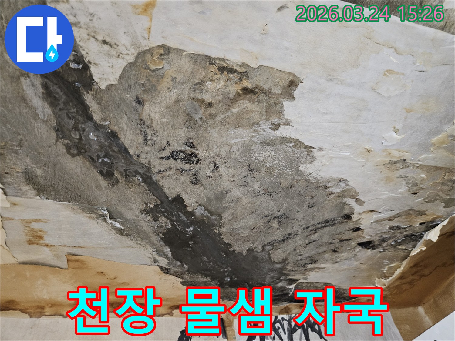 천장에서-물이-새어-벽지가-젖고-얼룩진-심각한-누수-피해-현장입니다