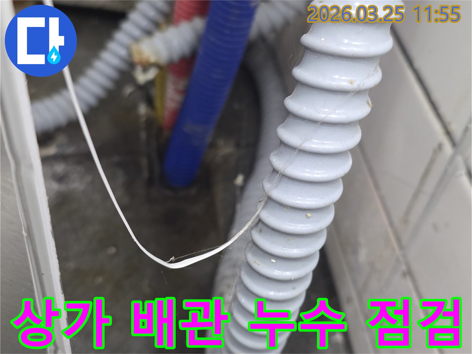 상가 건물 내부의-복잡한 배관 시스템과-주름진 배수 호스 주변에서-누수 흔적을 면밀히 살피는 모습