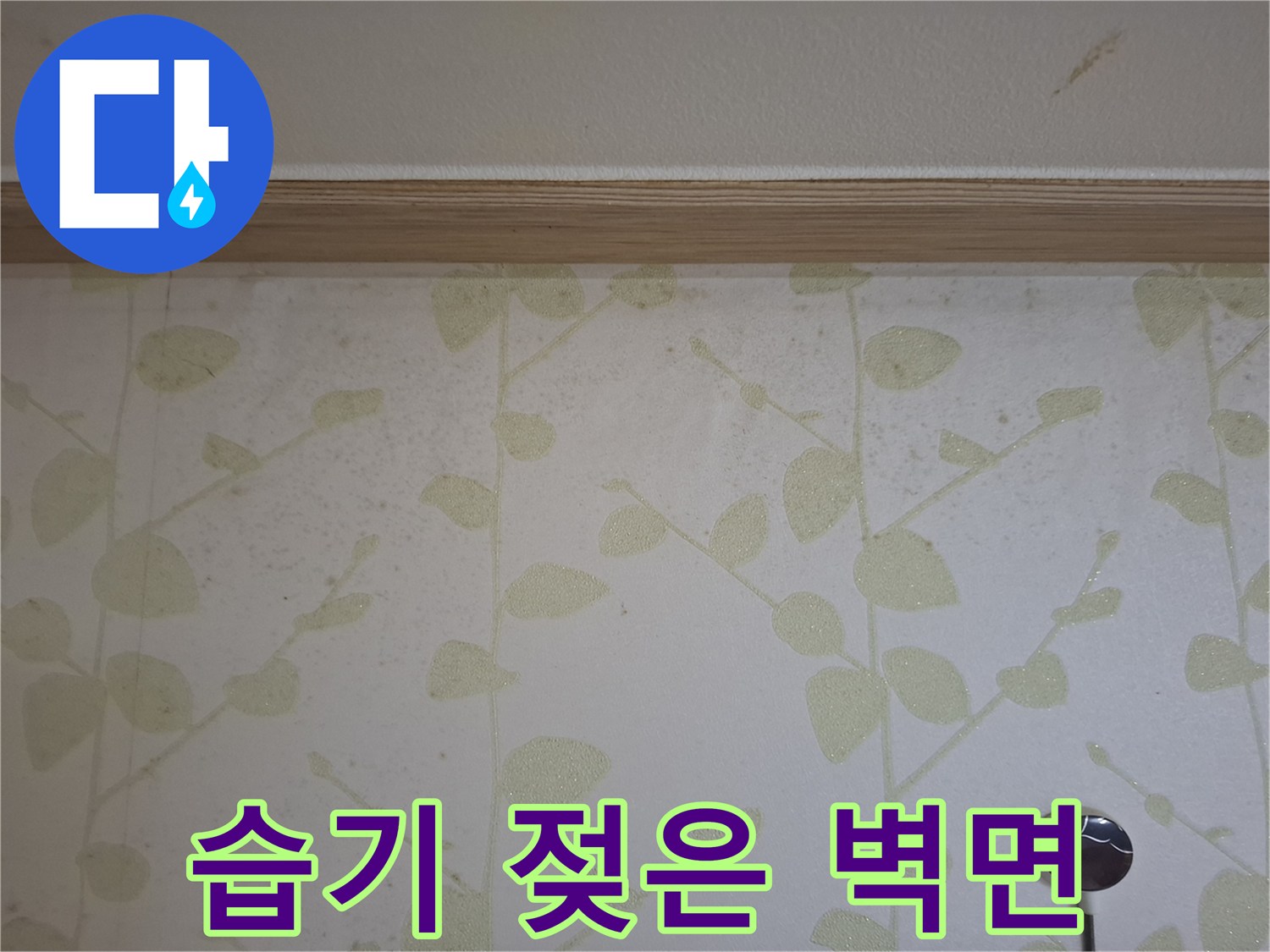물샘-증상이-나타난-벽지-상태