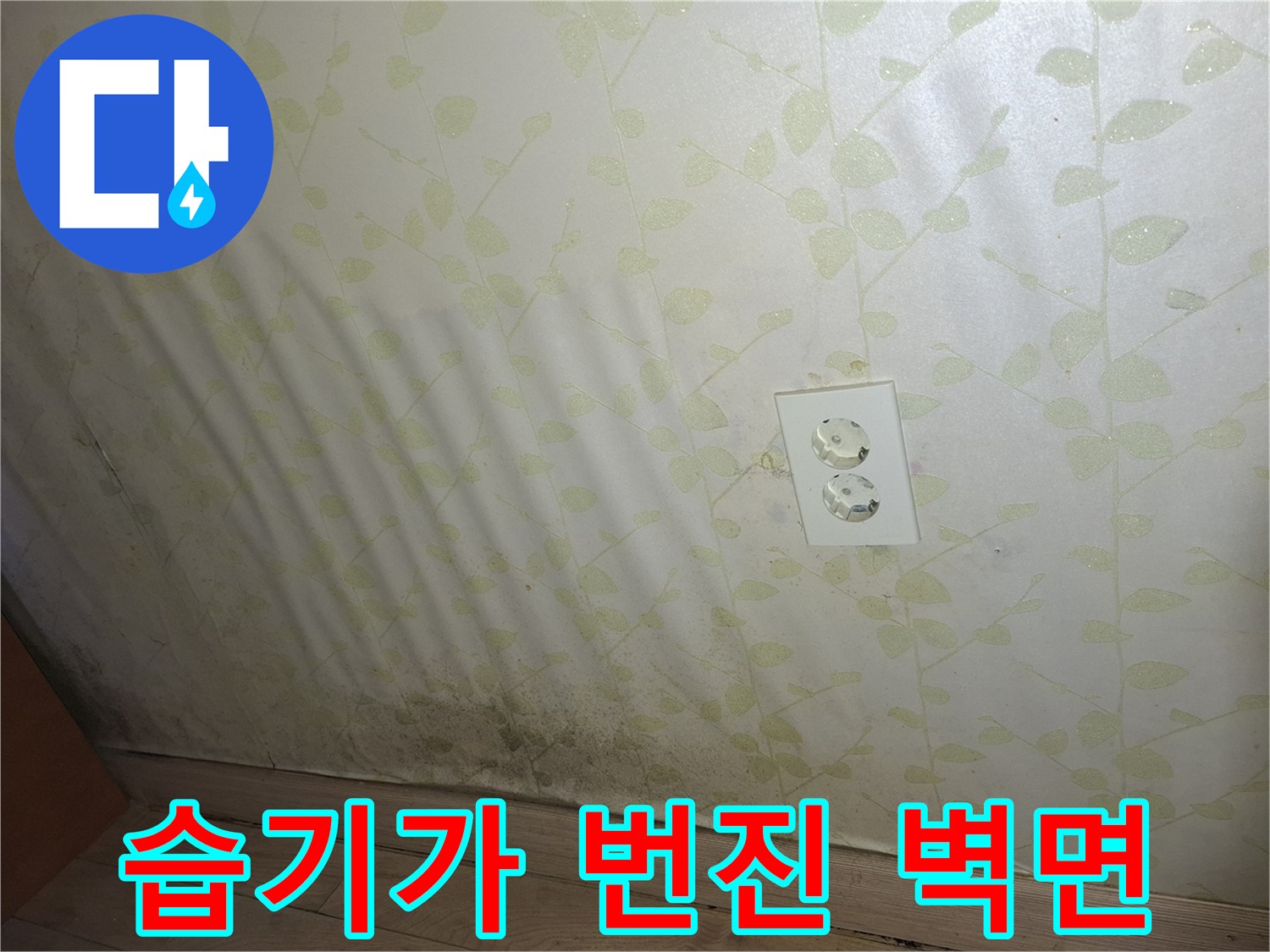 벽지-하단부의-어두운-곰팡이-자국