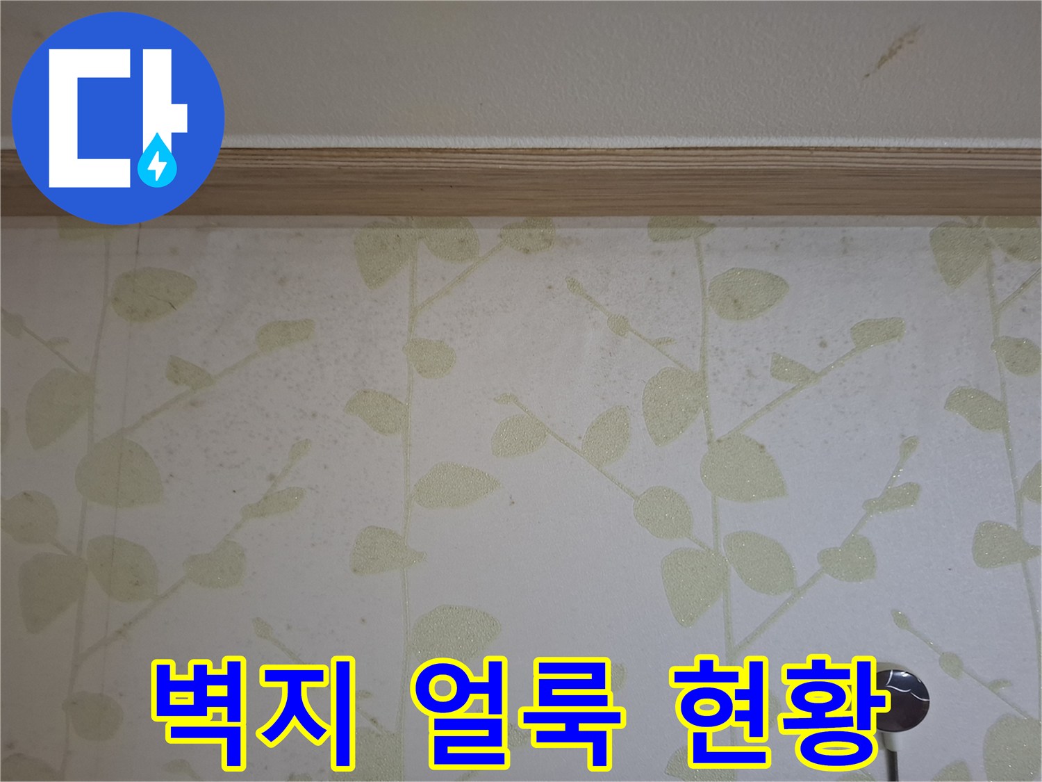 벽지에 발생한 거뭇한 곰팡이와 습기 흔적