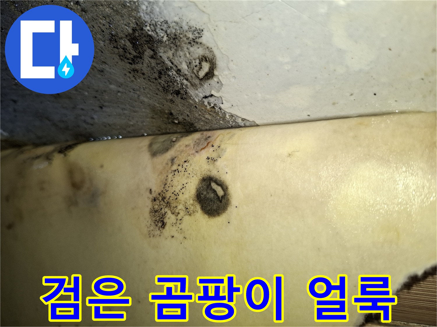 벽체 모서리 부분에 퍼진 곰팡이 자국