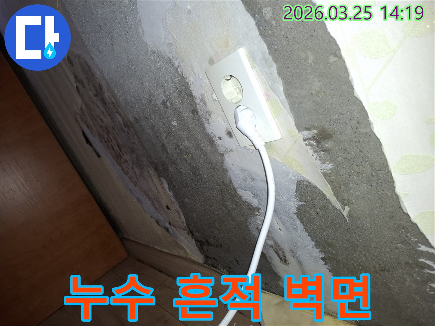 오래된-벽지에-습기가-차서-벗겨지고-벽면-전체에-곰팡이가-퍼진-누수-문제-현장