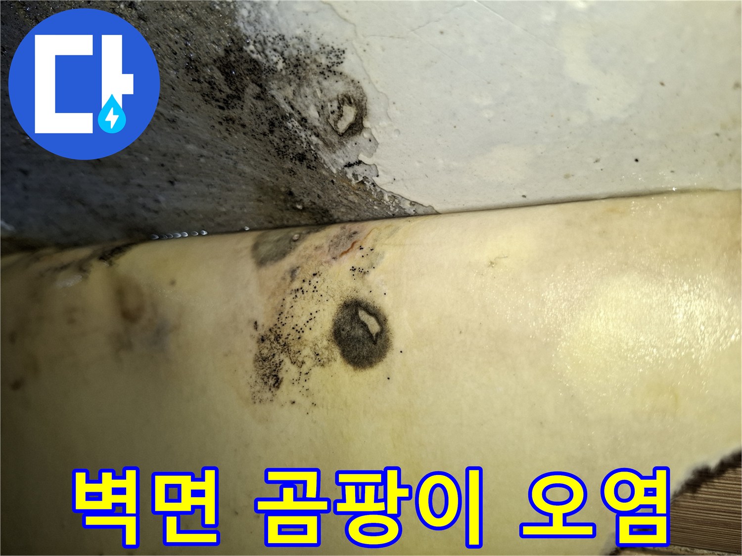 침투한 수분으로-발생한 벽면의 곰팡이 흔적