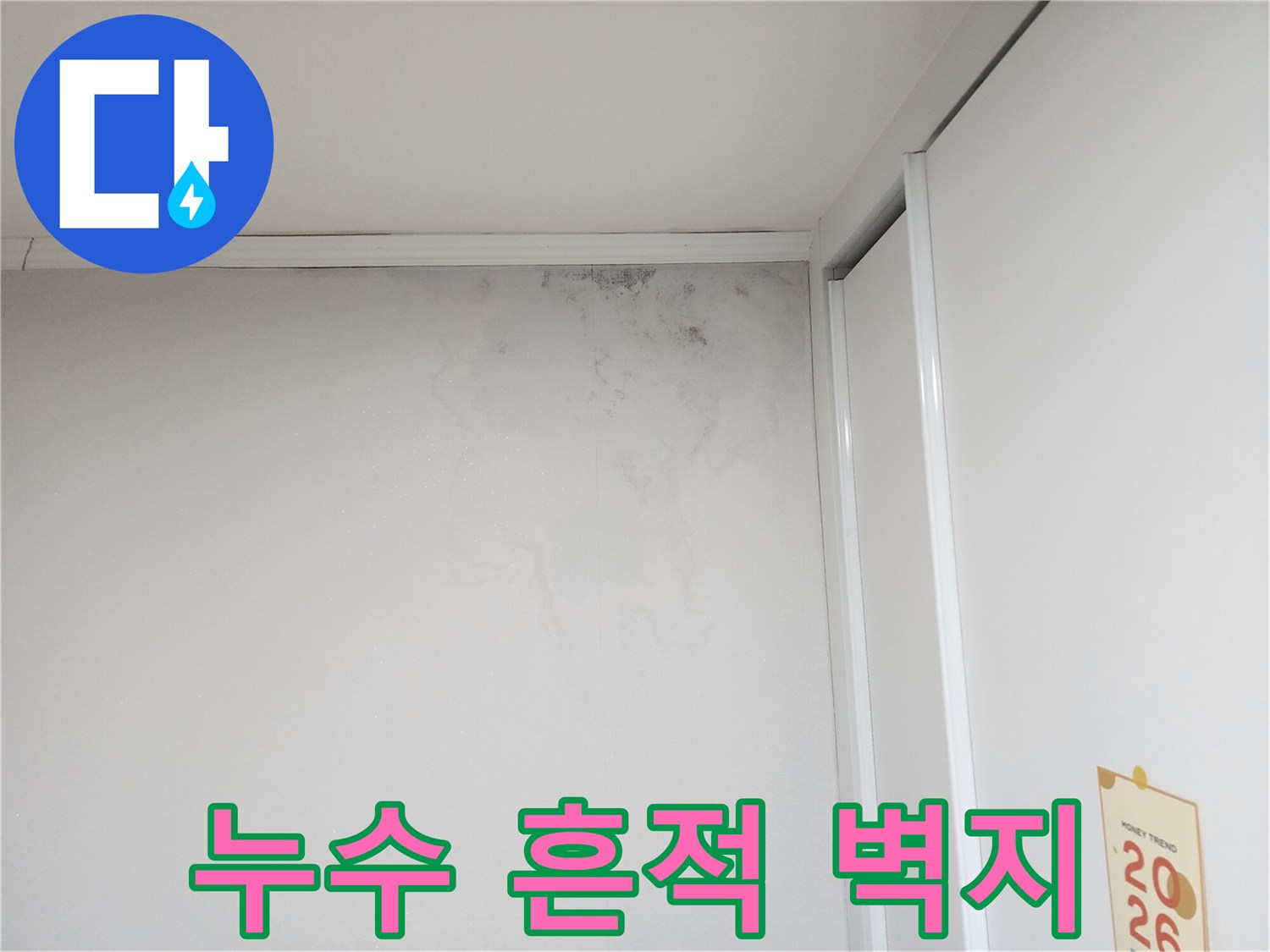 습기로 인해 변색되고 곰팡이가 생긴 벽지 표면