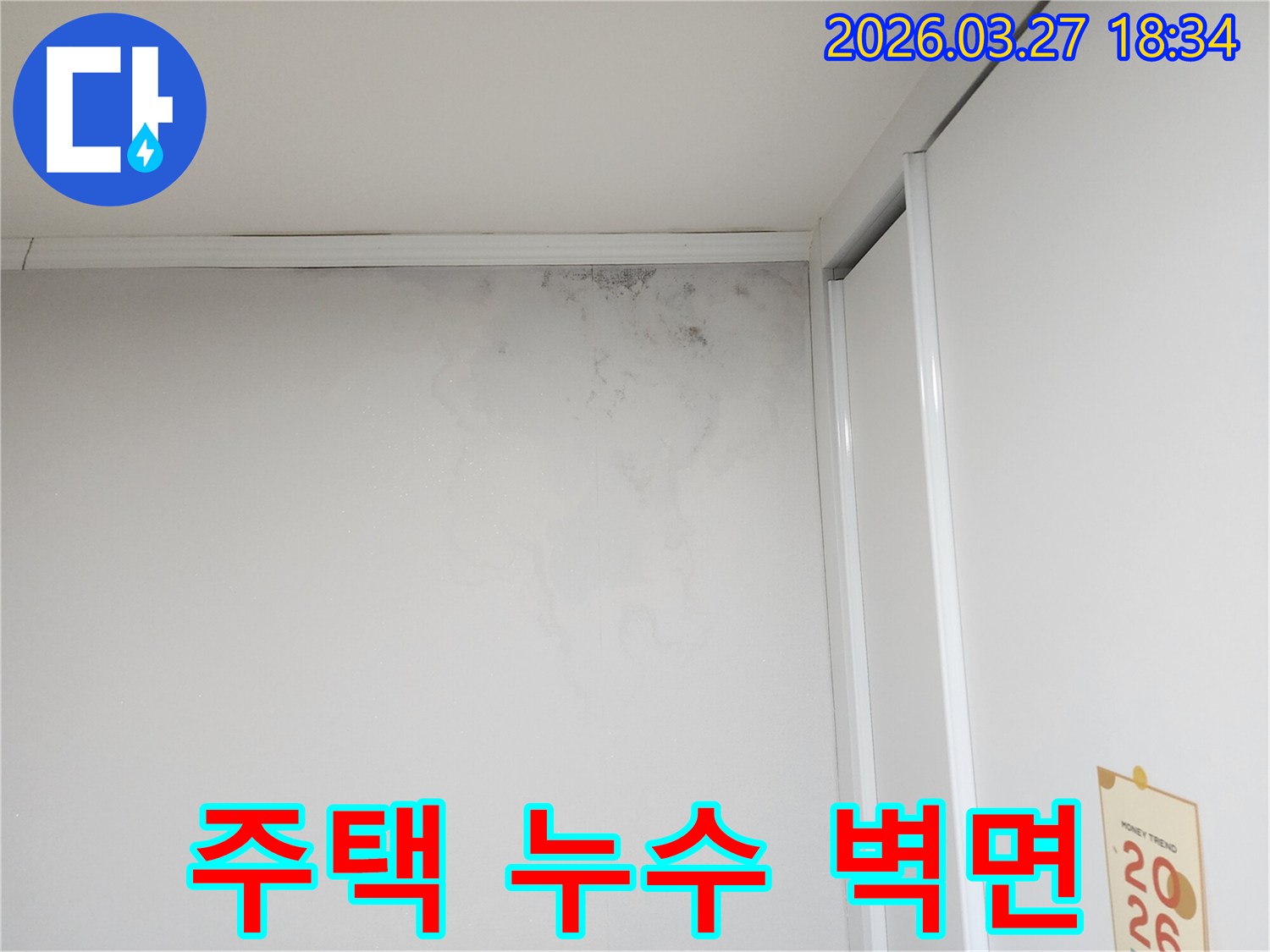 주택-내부-벽면에-발생한-누수-피해와-그로-인한-곰팡이-생성-현장-사진입니다