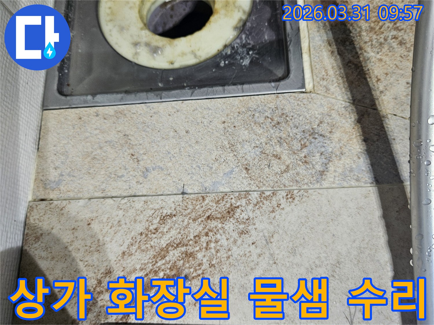 상가 화장실의 배수구와-오염된 트랩-그리고 주변 타일의 물때는-물샘으로 인한 배관 점검의 필요성을 보여줍니다.