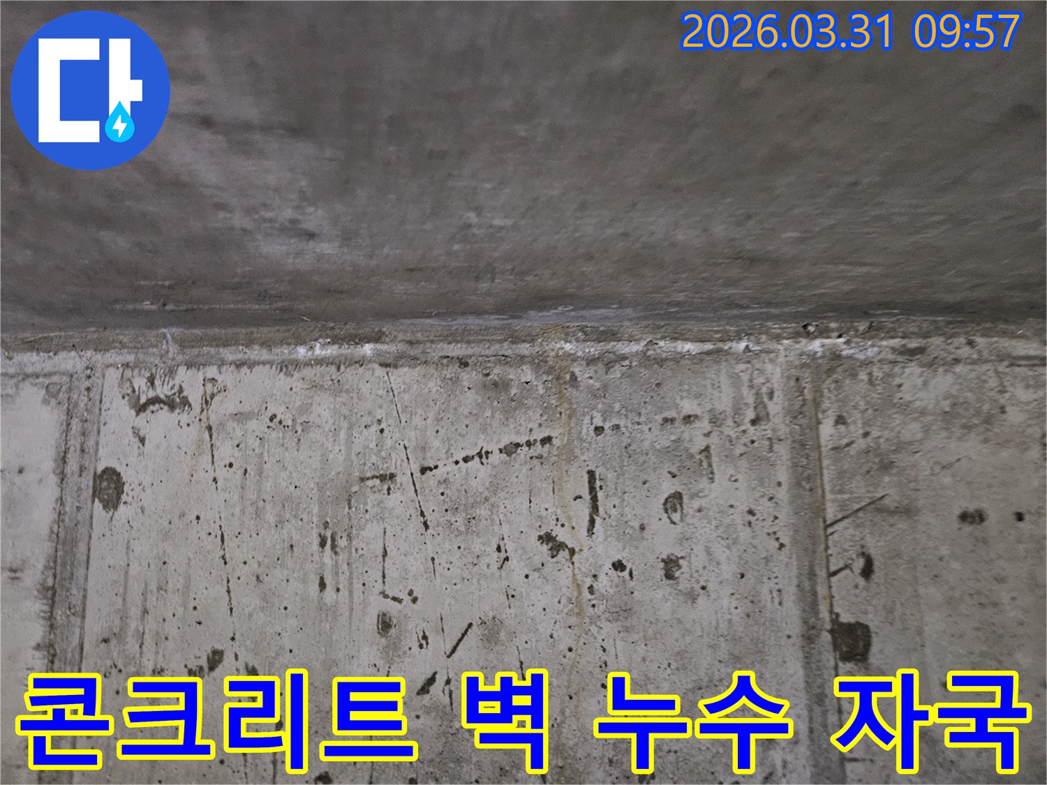 이 이미지는 콘크리트 벽면과 천장 경계에서 발생한 물-자국과 백화-현상을 상세하게 보여줍니다.