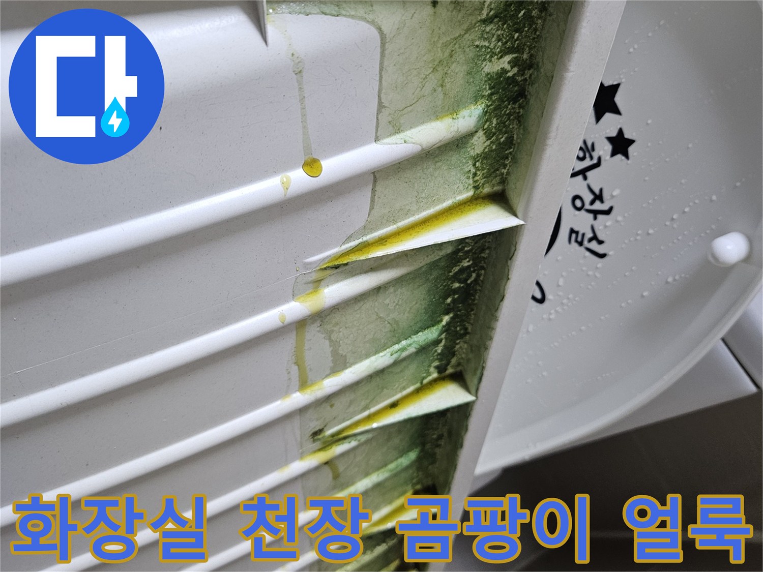 화장실-천장-점검구-내부-곰팡이와-습기-상태