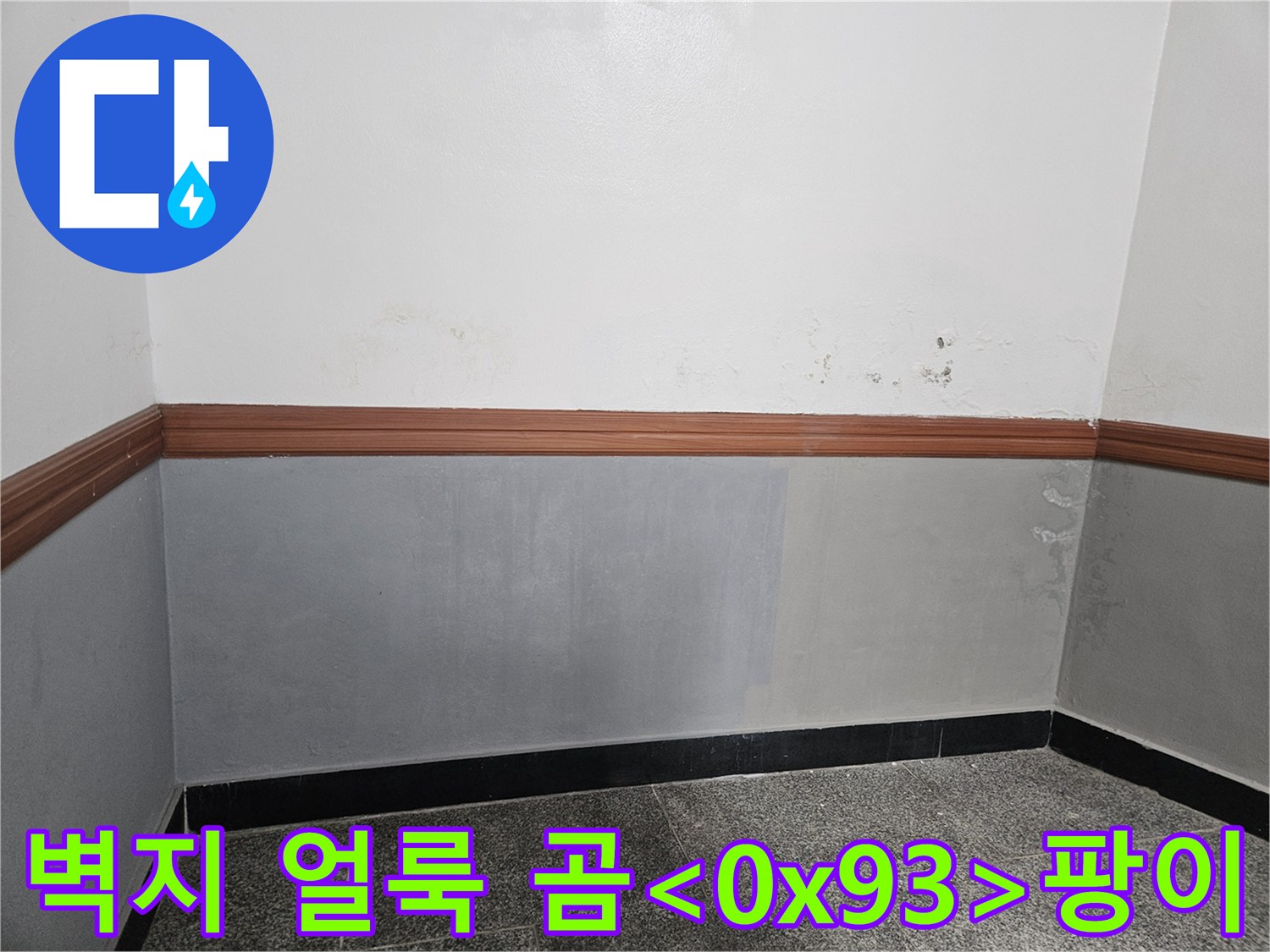 양평 현장-벽면 중간 높이의 얼룩과 곰팡이 발생 부위