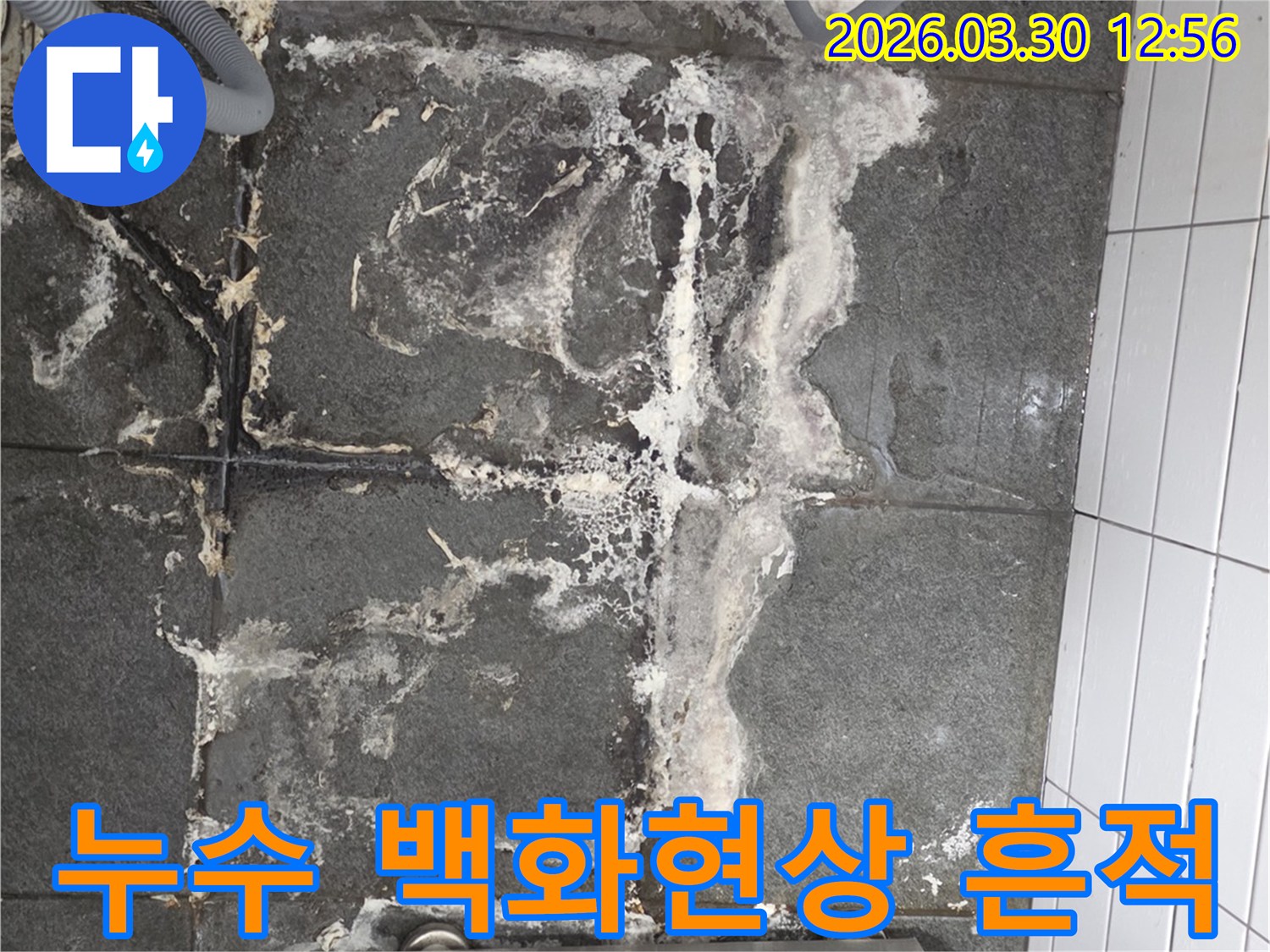 바닥 타일 위에 하얗게 굳은 백화현상과-물기로 인한 어두운 얼룩은-오랫동안 지속된 누수의 명확한 증거를 제공합니다.
