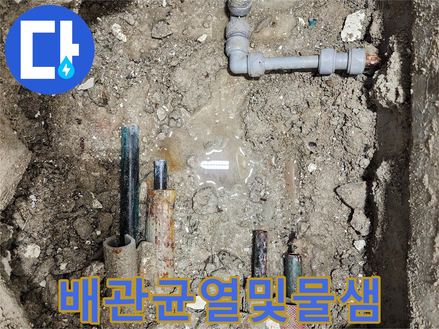 송파구 현장-손상된 배관 주변에 고인 누수된 물