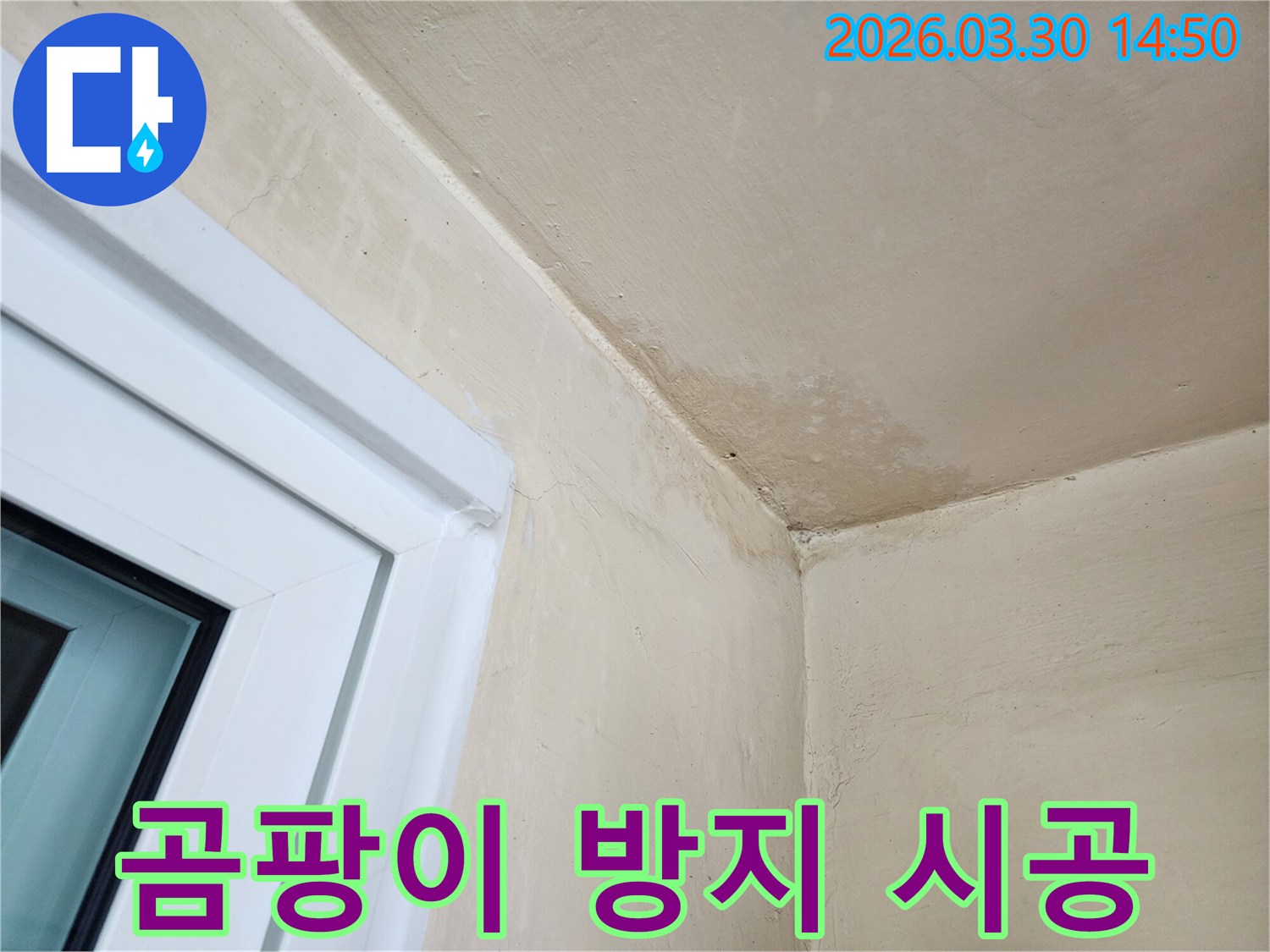 천장과-벽면 모서리에 생긴-누수 흔적과-그로 인한 곰팡이 발생을-보여주는 사진입니다