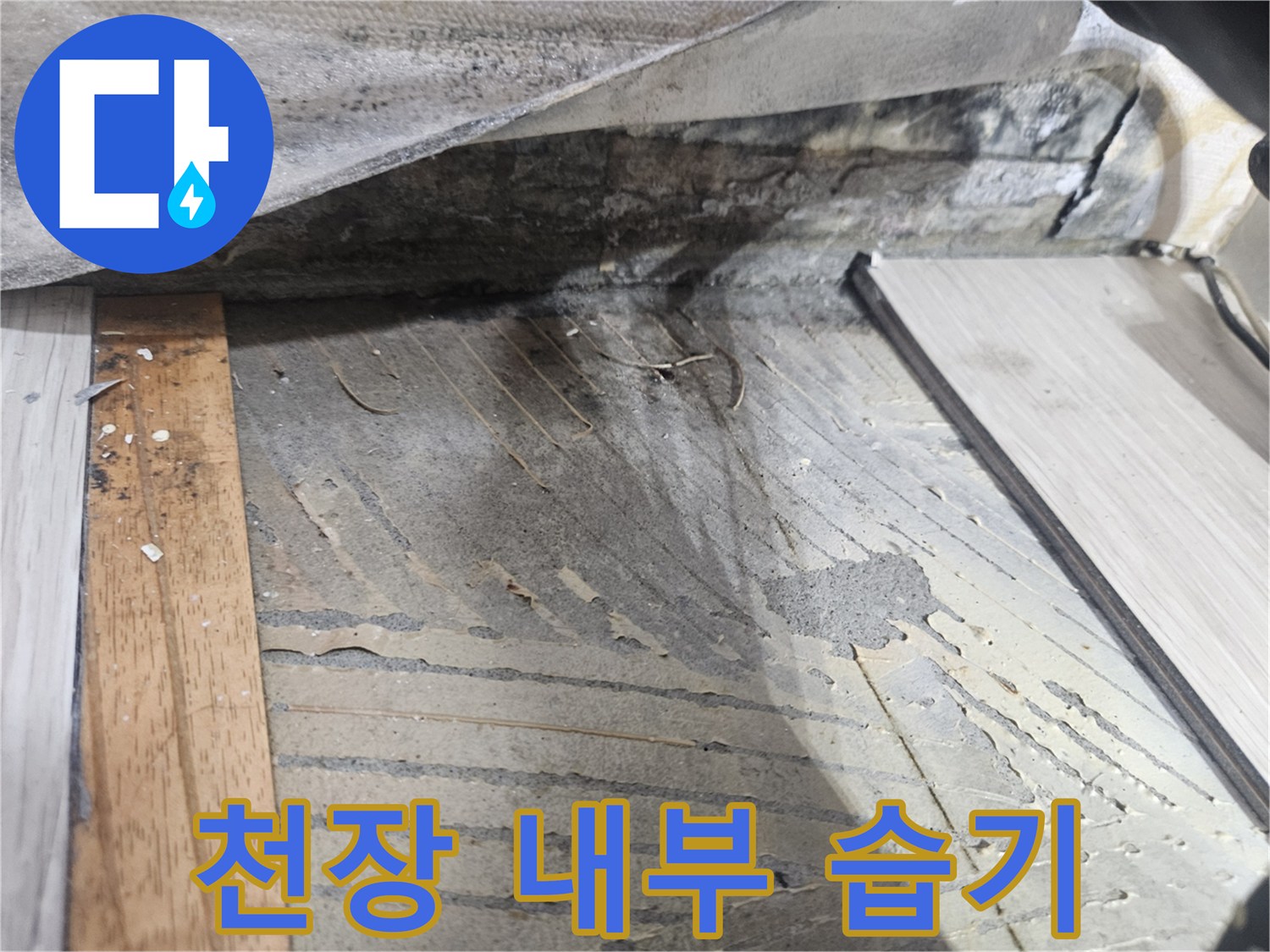 배관 연결 부위 근처의 젖은 천장 마감재