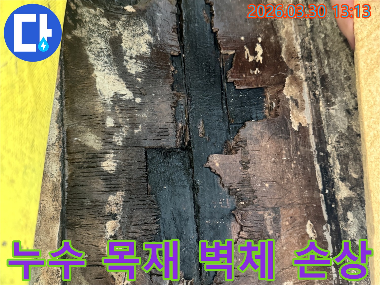 누수로 인해-목재 벽체가 물에 젖어-검게 변색되고-부식된 심각한 손상 상태