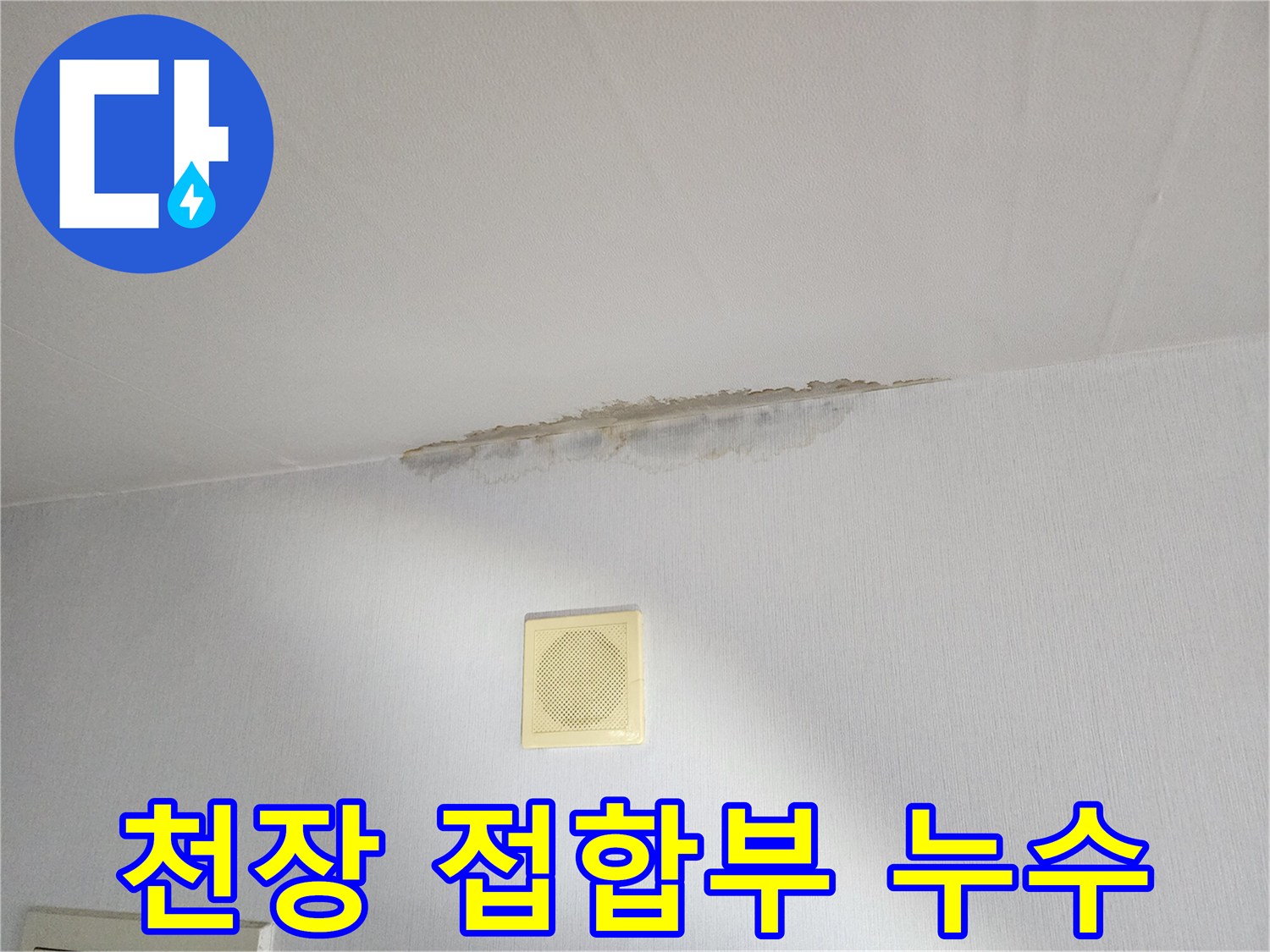 벽면과 천장이 만나는 경계에 생긴 젖은 얼룩