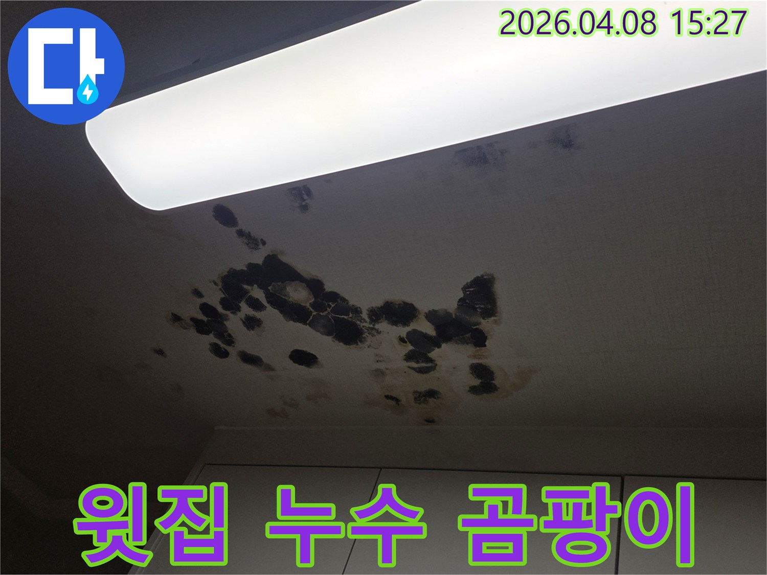 아파트 윗집 누수로 인해-천장에 생긴-검은 곰팡이와-물얼룩을 완벽하게 제거하고-복구하는 과정입니다