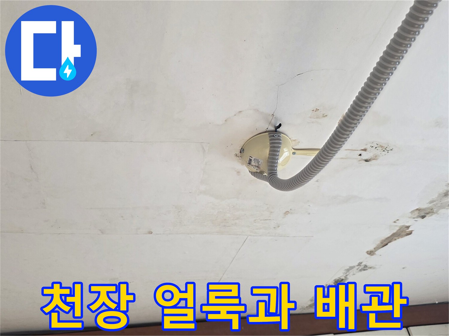 천장-얼룩진-부분과-배관-연결부